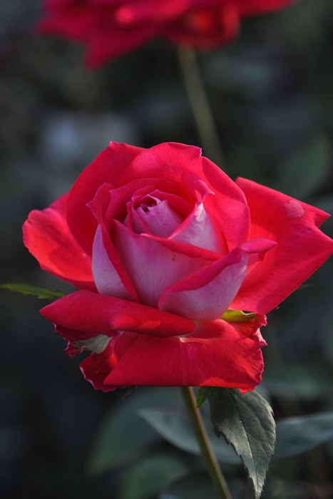 ġۥХ   6ȭʡJ-HT20