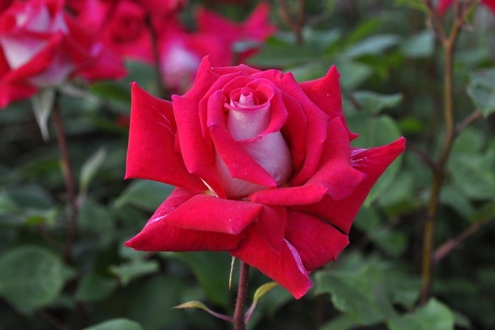 ġۥХ   6ȭʡJ-HT20