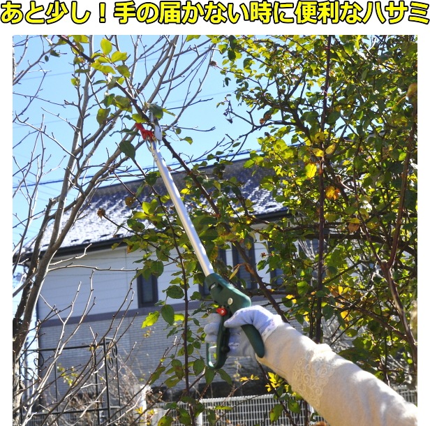 äȹڤ ڤäƤĤϥ!إǥ˥ å&ۡ G饷å 륹 (Ϥ.ϥ) Ϥʤʥϥ ZIK-10000