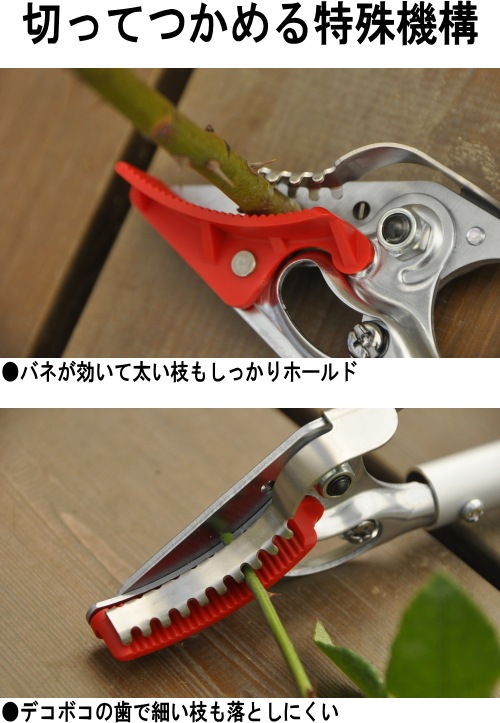 äȹڤ ڤäƤĤϥ!إǥ˥ å&ۡ G饷å 륹 (Ϥ.ϥ) Ϥʤʥϥ ZIK-10000