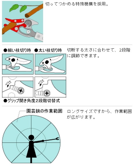 äȹڤ ڤäƤĤϥ!إǥ˥ å&ۡ G饷å 륹 (Ϥ.ϥ) Ϥʤʥϥ ZIK-10000