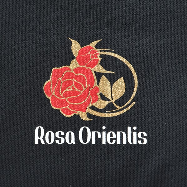 ꥨƥڥݥġۢڥåȤƱĢ ZIK-900