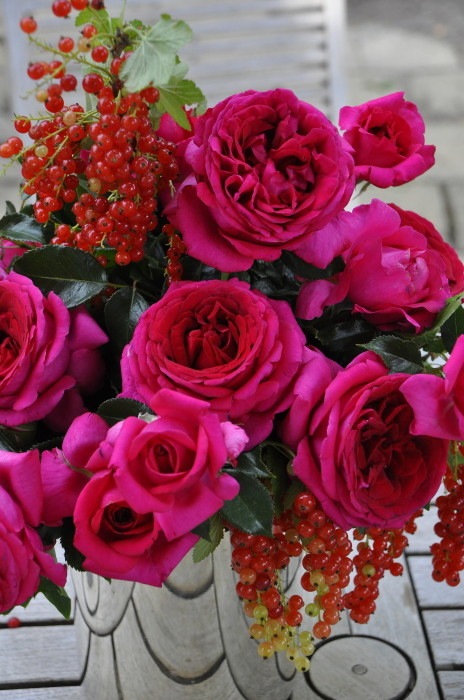 �Х��ġ����ġۥ쥸���ޥ륳�� ���� 6��ȭ�����ʡ����ӿ建�� ��Ͽ�ʼ�ϡ�Han-DEL��