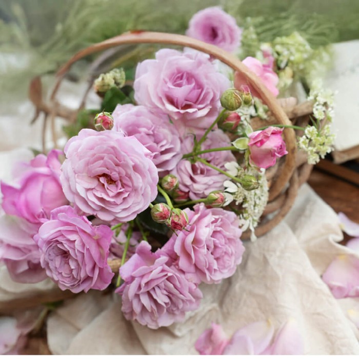 ���ߵ����ġۥХ��� �������� ���� 6��ȭ�����ʡ����ӿ建�� �ʼ���Ͽ�д���ϡ�IR-IRO3��2025�����ʼ��0109�����