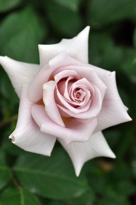 Хġġۥɥ饸  6ȭʡηʼϡKb-KBO