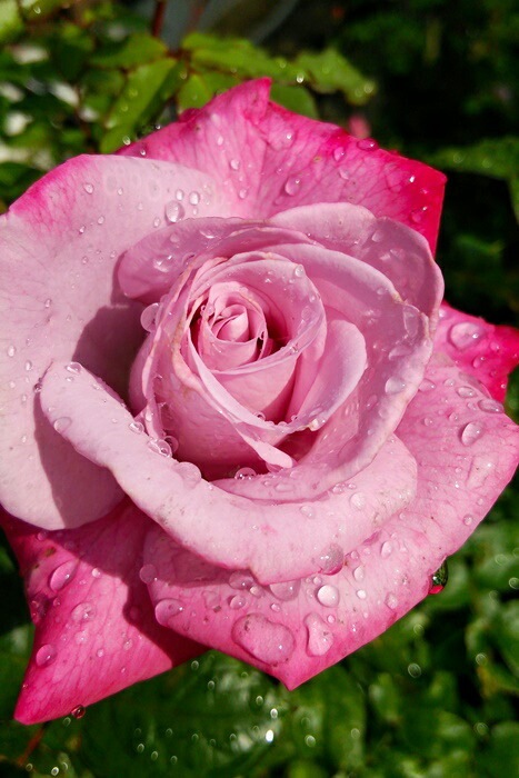 ġۥХ ѥ  6ȭʡJ-HT20