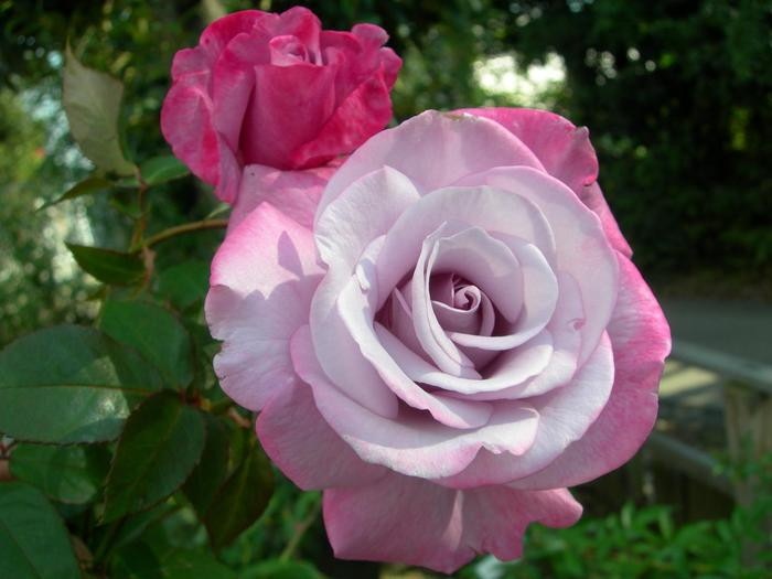 ġۥХ ѥ  6ȭʡJ-HT20