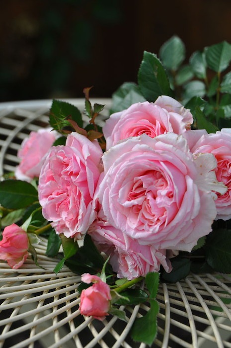 �����ġۥХ��� ����Ƥν� ���� 6��ȭ�����ʡη����ʼ�ϡ�JB-YR��