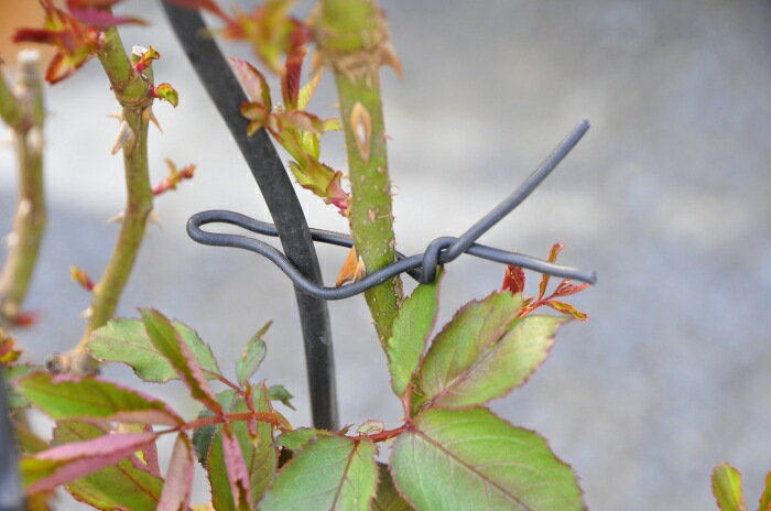   ֥åۥХѤ餫Х 2.5mm10m ڥåȤƱĢ ZIK-10000