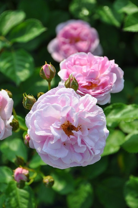 Хġġۥ٥å  6ȭʡJ-OC20