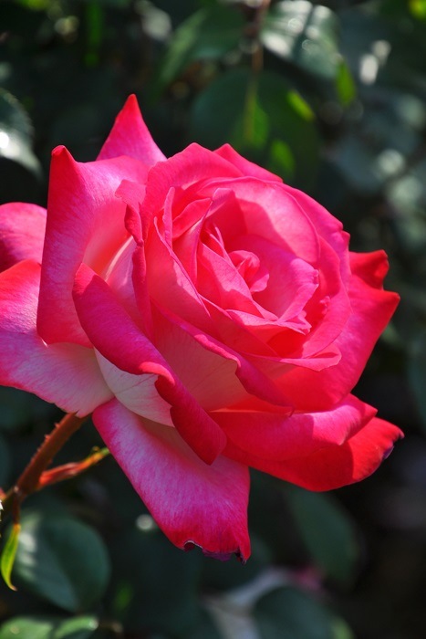 ġۥХ Сۥ  6ȭʡJ-HT20