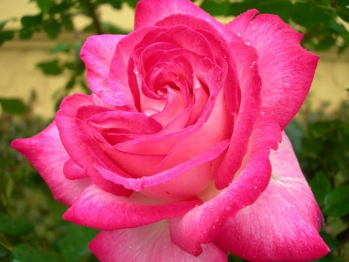 ġۥХ Сۥ  6ȭʡJ-HT20