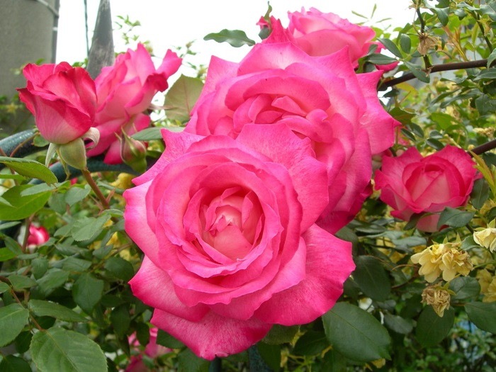 ġۥХ Сۥ  6ȭʡJ-HT20