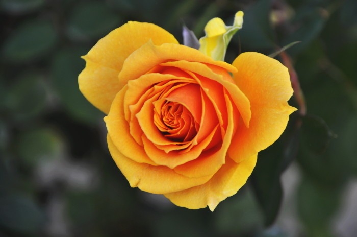 ġۥХ ɥ  6ȭʡηʼϡMA-MA