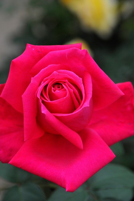 ġۥХ ޥꥢ饹  6ȭʡJ-HT10