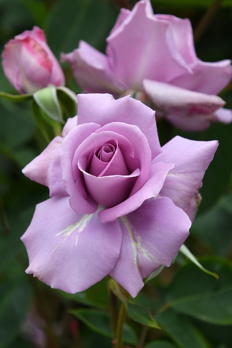 Хġڿġۥޥڥޥӥ ġJ-HT20