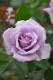Хġڿġۥޥڥޥӥ ġJ-HT20