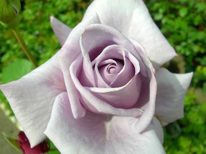 ġۥХ ֥롼ȡ  6ȭʡηʼϡMA-MA