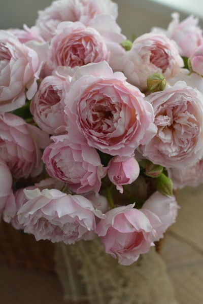 ġۥХ 奯  6ȭʡӿ建 ϿʼϡKb-KBO