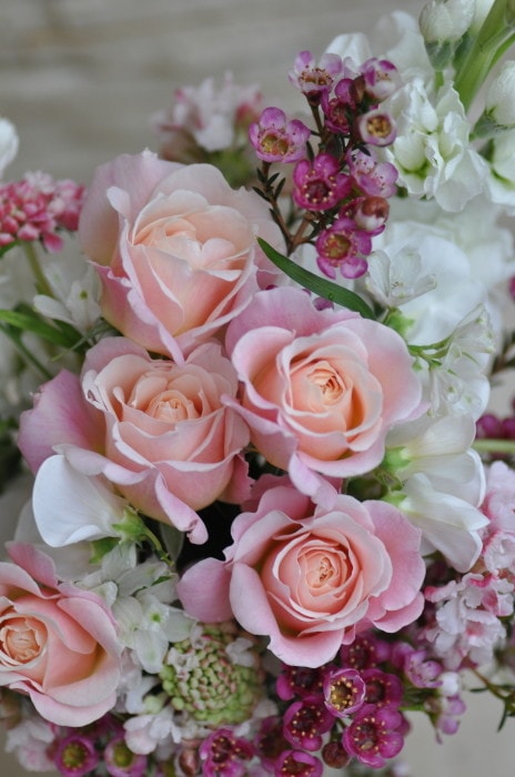 �����ġۥХ��� ���奷�� ���� 6��ȭ�����ʡη����ʼ�ϡ�Kb-KBO��