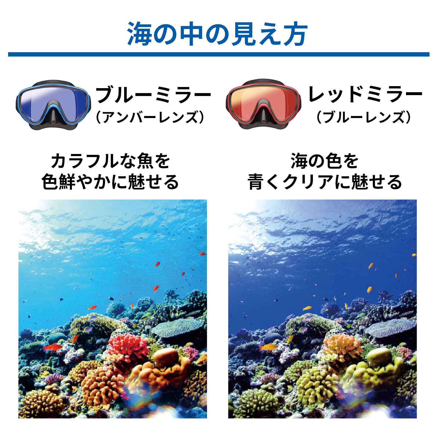 子ども用シュノーケリング2点セットミラーレンズ｜Tabata(タバタ)公式