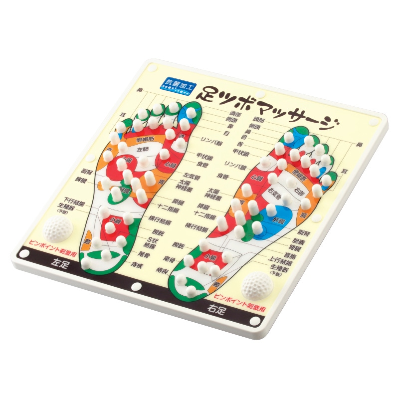 足ツボマッサージ 数量限定】【 日本語表記 わかりやすい 体系的に覚える】足つぼ 模型