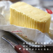 バター ブール・ド・ノード 有塩 250g 日本未入荷 初上陸 フランス産 発酵バター