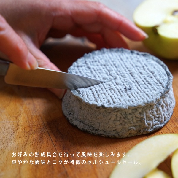 【なくなり次第終売】セル・シュール・シェール シェーブルチーズ 150g <無殺菌乳>
