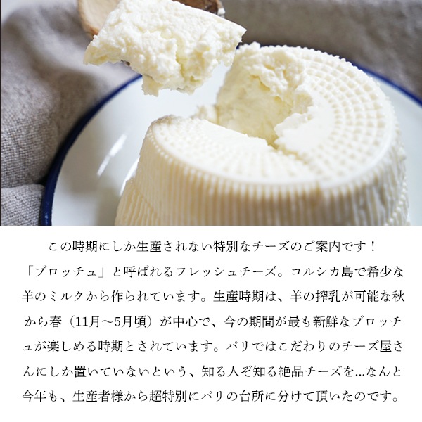 【今季終了：2025年11月再開予定】コルシカ島産 ブロッチュ (250g) 羊乳 食べやすい フレッシュチーズ 希少 珍しい 新鮮 フレッシュ フランス直送 季節商品 【無くなり次第今季終了】