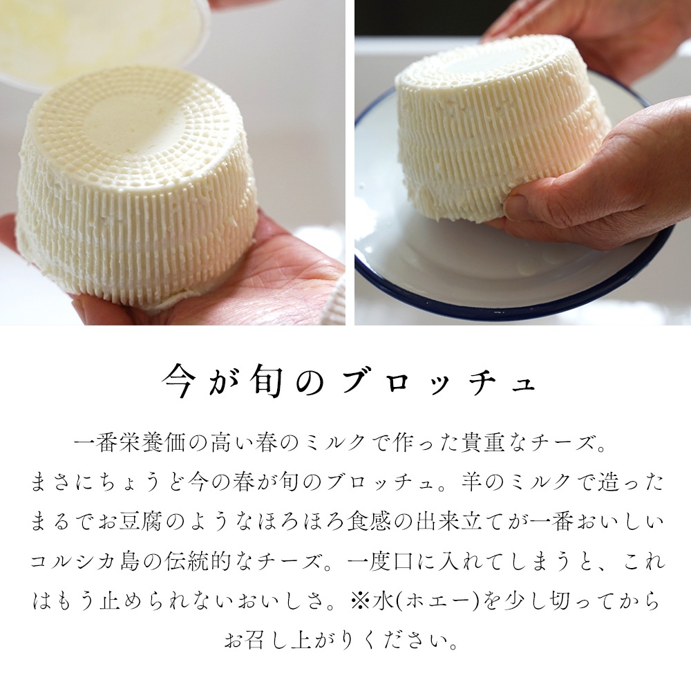 【季節限定】ブロッチュ 250g｜フランス産 コルシカ島伝統 羊乳チーズ フレッシュチーズ｜リコッタのような優しい味 パリ直送