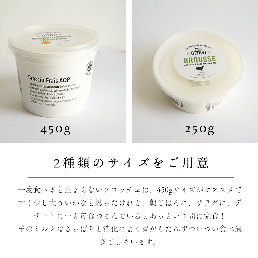 【季節限定】ブロッチュ 250g｜フランス産 コルシカ島伝統 羊乳チーズ フレッシュチーズ｜リコッタのような優しい味 パリ直送