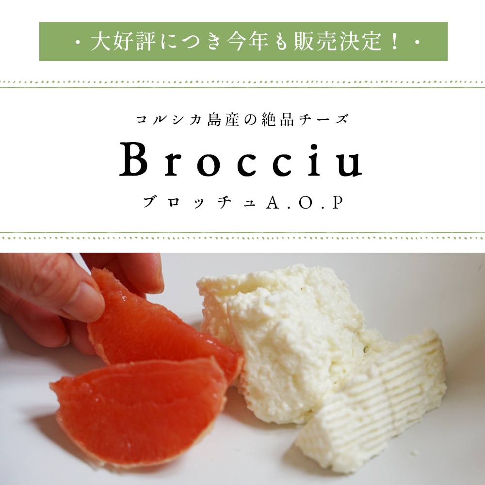 【季節限定】ブロッチュ 250g｜フランス産 コルシカ島伝統 羊乳チーズ フレッシュチーズ｜リコッタのような優しい味 パリ直送