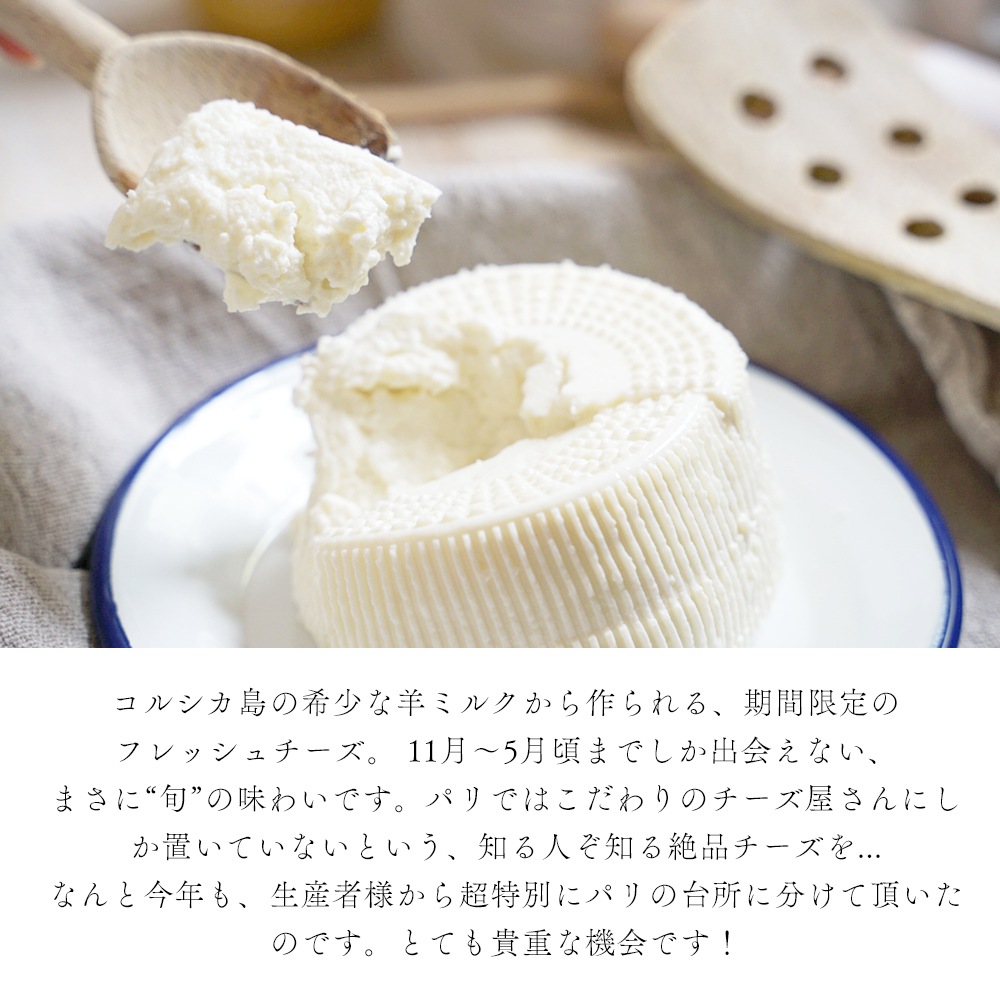季節限定】ブロッチュ 250g｜フランス産 コルシカ島伝統 羊乳チーズ