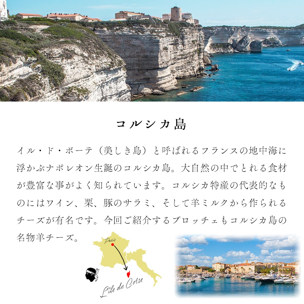 【季節限定】ブロッチュ 250g｜フランス産 コルシカ島伝統 羊乳チーズ フレッシュチーズ｜リコッタのような優しい味 パリ直送