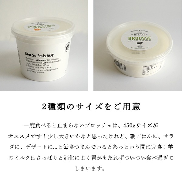 【今季終了：2025年11月再開予定】 コルシカ島産 ブロッチュ A.O.P. (450g) 羊乳 食べやすい フレッシュチーズ 希少 珍しい 新鮮 フレッシュ フランス直送 季節商品 【無くなり次第今季終了】