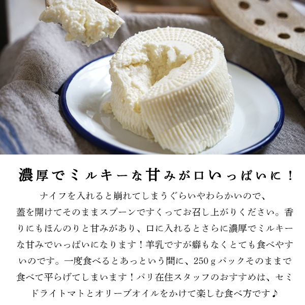 【今季終了：2025年11月再開予定】 コルシカ島産 ブロッチュ A.O.P. (450g) 羊乳 食べやすい フレッシュチーズ 希少 珍しい 新鮮 フレッシュ フランス直送 季節商品 【無くなり次第今季終了】