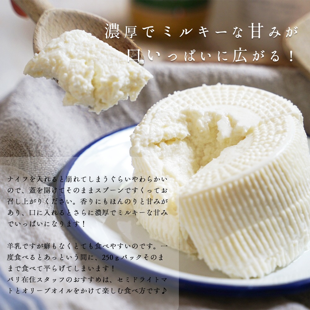 季節限定】ブロッチュ 450g｜AOP認証 フランス産 コルシカ島伝統 羊乳