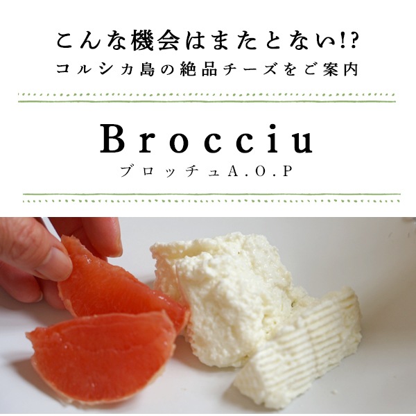 【今季終了：2025年11月再開予定】 コルシカ島産 ブロッチュ A.O.P. (450g) 羊乳 食べやすい フレッシュチーズ 希少 珍しい 新鮮 フレッシュ フランス直送 季節商品 【無くなり次第今季終了】