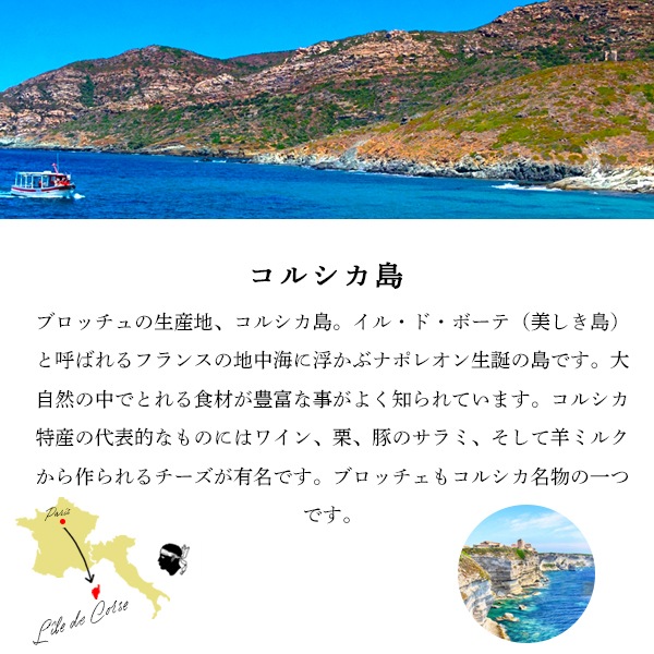 【今季終了：2025年11月再開予定】 コルシカ島産 ブロッチュ A.O.P. (450g) 羊乳 食べやすい フレッシュチーズ 希少 珍しい 新鮮 フレッシュ フランス直送 季節商品 【無くなり次第今季終了】