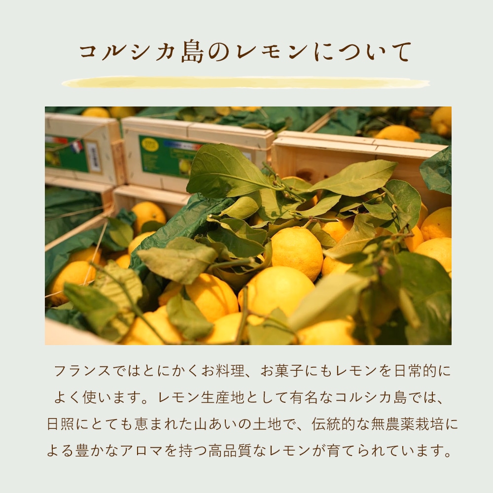 【数量限定】コルシカ島レモンのコンフィチュール 250g（発送重量400g） Confiture de Citron