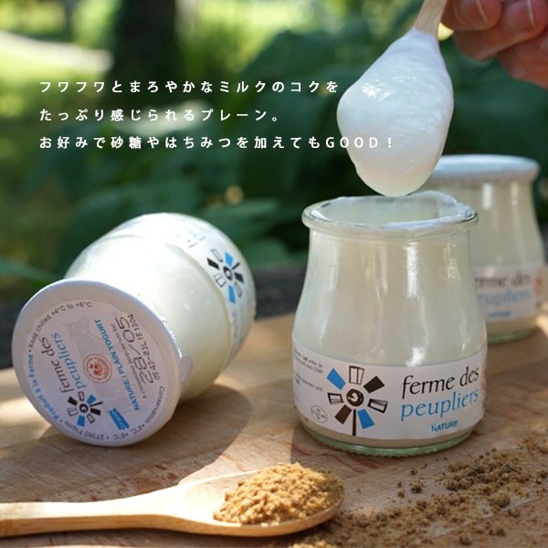 ヨーグルト ププリエ ブラッセ プレーン 140g （総重量は200g） セット フランス産 ヨーグルト