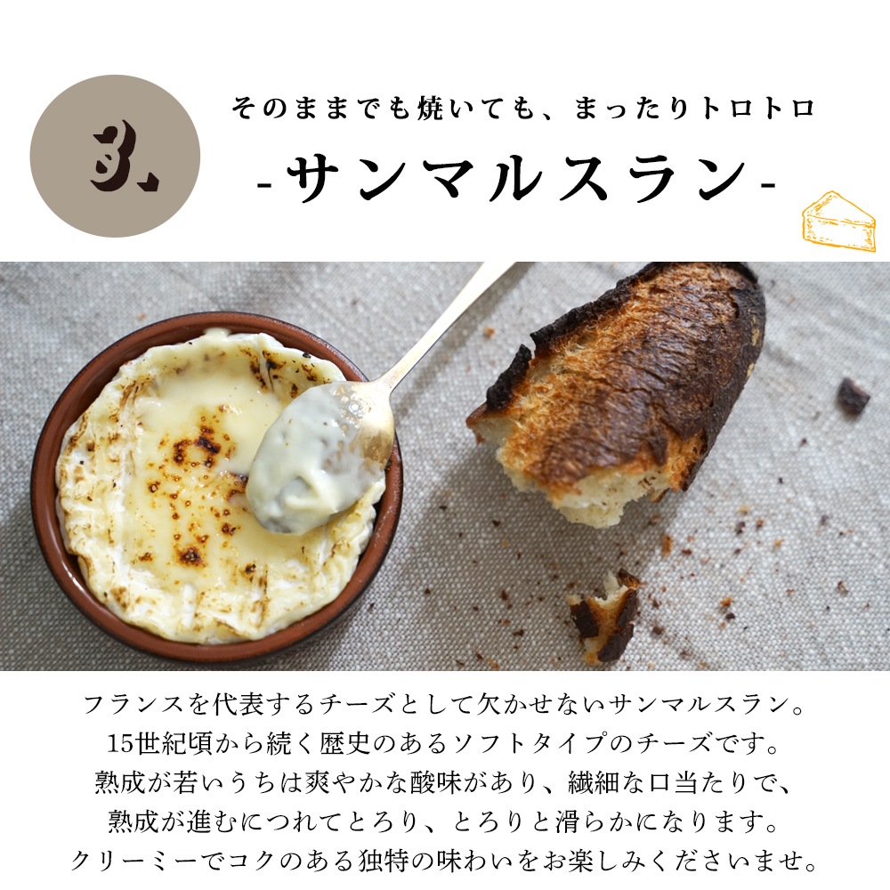 【送料無料】チーズ中級者3種セット【総重量720g】エシレバター&チーズ専用保存紙付き