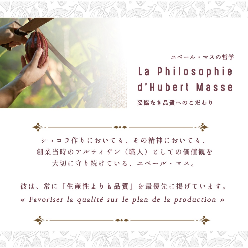 【バレンタイン 2026】ル カカオティエ ショコラ 2種セット（ボンボン 15粒 ＆ アソート 160g）紙袋付 日本未入荷 フランス チョコレート 詰め合わせ ギフト フランス パリ 高級 チョコ【同梱不可 / 送料無料 / 数量限定 / 予約販売】【パリ直送：2/4出荷予定】Le Cacaotier