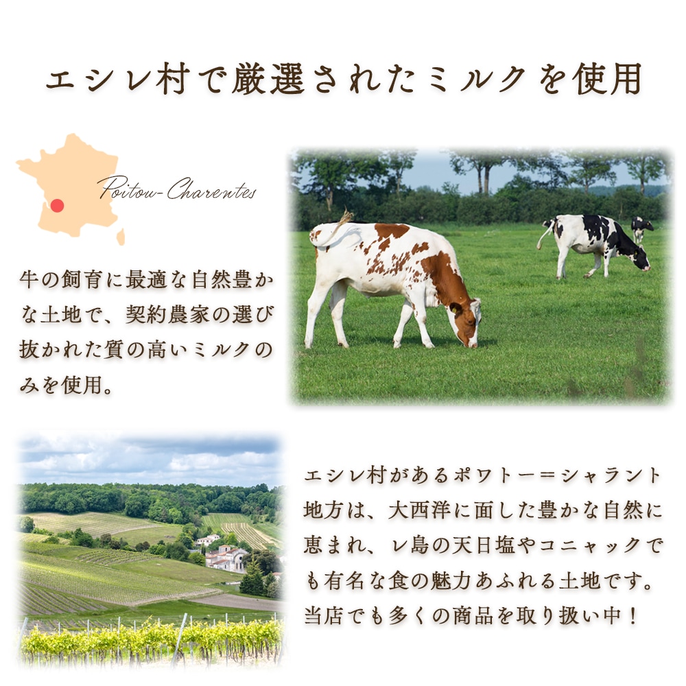 【送料無料・2個セット】クレミエール 有塩バター｜250g×2 個セット｜エシレ社製 フランス産 発酵バター 手作り 殺菌乳 日本未入荷｜Cremier ECHIRE パリ直送