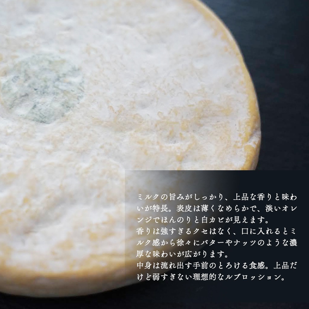 【なくなり次第終了！】ルブロッション フェルミエ AOP 約500g｜農家製 フランス産 サヴォワ地方 ジョセフ・パカール社熟成 セミハードチーズ ｜パリ直送 ｜REBLOCHON FERMIER PACCARD