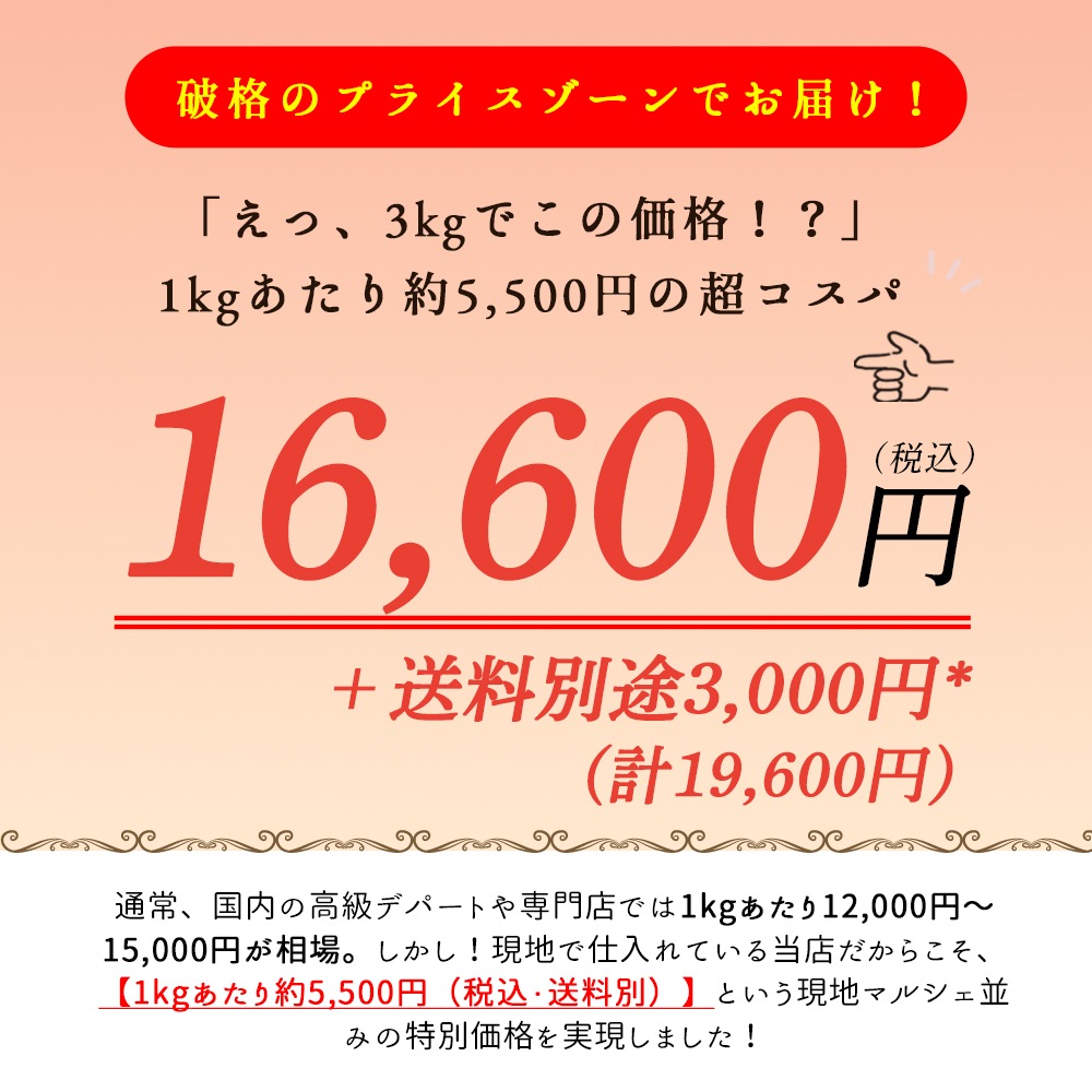 【パリ直送】バドーズ社 モンドール チーズ｜約3kg (直径約30cm×高さ約6.5cm)｜AOP認証 フランス産 ウォッシュチーズ 無殺菌乳｜秋冬限定【受発注・同梱不可】