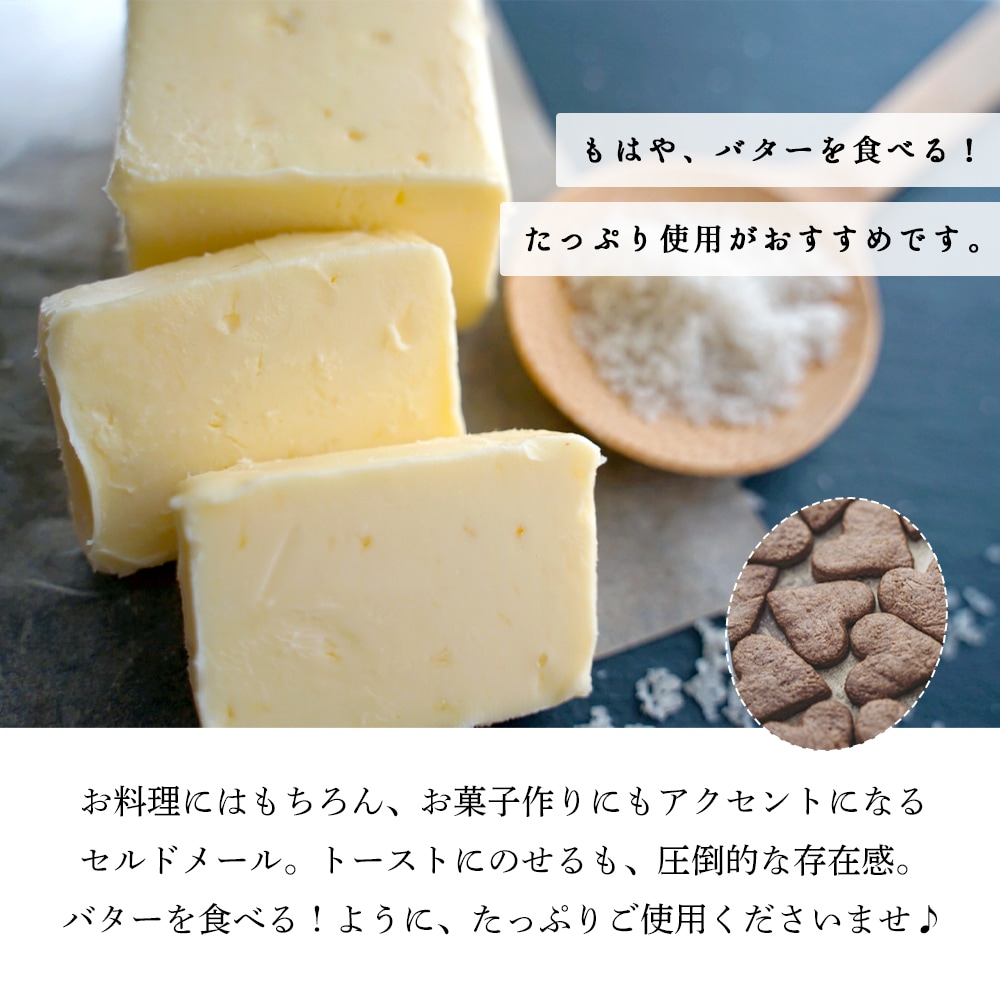【送料無料・3個セット】セルドメール 海塩バター 250g×3個セット｜グランフェルマージュ社製 フランス産 発酵バター｜フルールドセル 天然海塩｜Grand Fermage Sel de Mer パリ直送