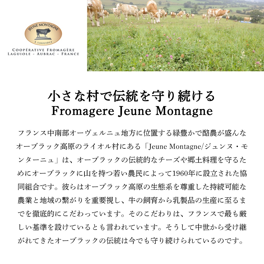 【秋冬限定】トリュファード 500g｜フランス産 オーヴェルニュ地方 郷土料理 ｜ライオルAOPチーズ ジャガイモ パセリ ニンニク トムフレッシュドゥオーブラック 着色料保存料不使用｜パリ直送