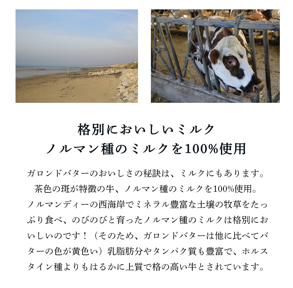 【送料無料】ガロンド  無塩 250g 3個セット 発酵バター フランス 手作り