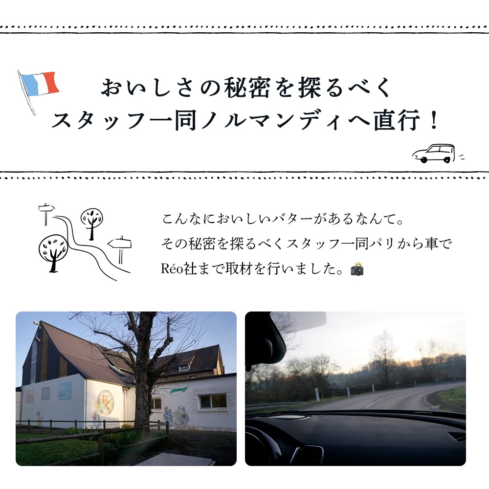【送料無料・3個セット】ガロンド 有塩バター 250g×3個セット｜Reo社製 フランス ノルマンディー産 発酵バター 手作り 殺菌乳 日本未入荷｜Le Gaslonde パリ直送